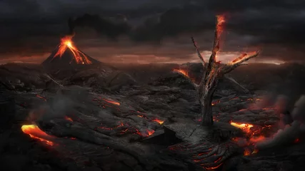 Fotobehang Fire tree in the volcanic landscape © Jagoush