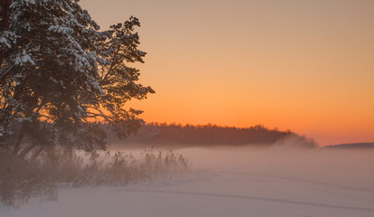 sunrise,frozen river, forest,reeds,meadow in the evening mist.