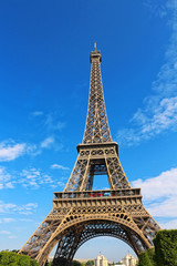 Fototapeta na wymiar Tour Eiffel depuis le Champ de Mars
