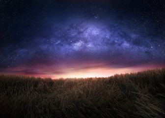 Night sky and the Milky Way above the field