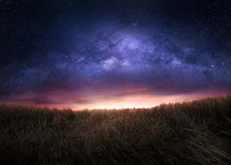 Fotobehang Nacht Nachtelijke hemel en de Melkweg boven het veld