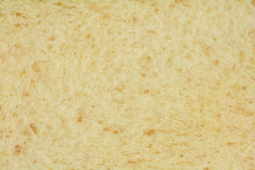 Close up shot of white bread slice