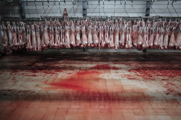 Sheep meat in a slaughterhouse - 103985712