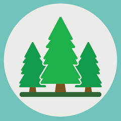 Forest. Nature background with green trees