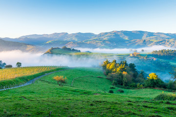 Basque Country Spain Landscape near the Village Orio