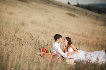 Beautiful wedding couple at picnic with fruit and cake on a background of mountains