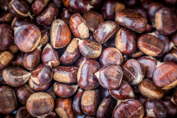 Fresh chestnuts