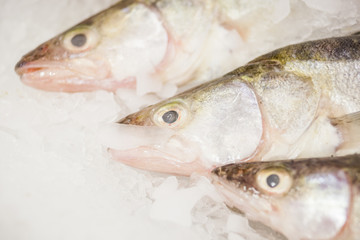 Fish for sale on ice