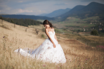 Fototapeta na wymiar Gorgeous bride in elegant dress posing at sunny summer day on a background of mountains
