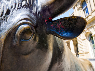 Bulle und Bär, Symbol für steigende oder fallende Kurse an der Börse, hier der Bulle, Frankfurt, Hessen, Deutschland, Europa