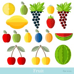 flat fruit set on white