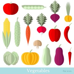 flat vegetables set on white