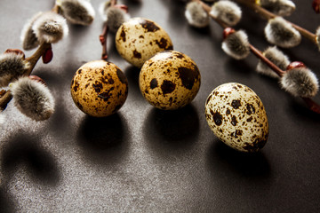 Fototapeta premium Easter composition with quail eggs in nest, blooming willow branches and spool over wet black background. Square image with selective focus
