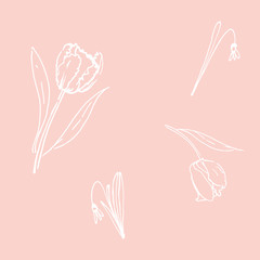 Blumenmuster mit Tulpen und Schneeglöckchen 