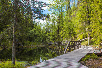 Obraz premium Wanderpfad im Pyhä-Luosto National Park - Finnland 2