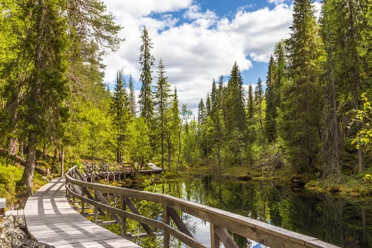 Le Parc National de Pyhä-Luosto - Adobe Stock