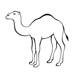 Camel black white isolated illustration vector
