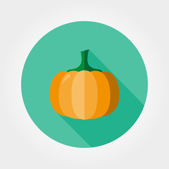 Pumpkin. Flat icon.