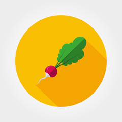 Radish icon. Flat.