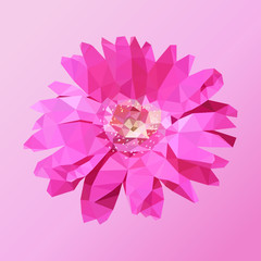 polygonal pink yebera, poly low geometric flower, vector