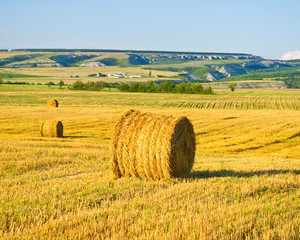 Fototapeta premium Bundles of straw on the field after harvest