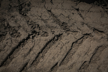 Tire tracks on cracked mud