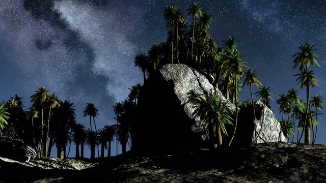 Colorful milky way and tropical landscape with palms. Timelapse
