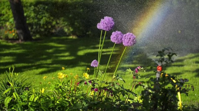 Gartenarbeit - Regenbogen - Bew&auml;sserung