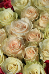 Roses in different shades of pink, bridal arrangement