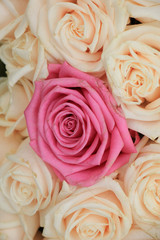 Obraz na płótnie Canvas Wedding roses