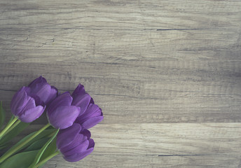 Bunch of purple tulips on wooden surface
