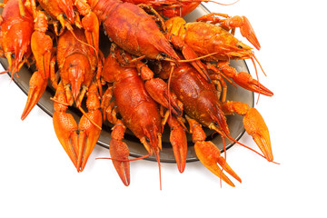 boiled crayfish on a plate on a white background