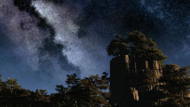 TIme Lapse of Stars and Silhouetted Pine Trees