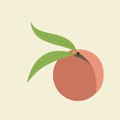 Peach Fruit Icon