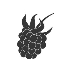 Raspberry Berry Icon