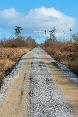 Fototapeta na wymiar Dirt track leading to wind turbine farm