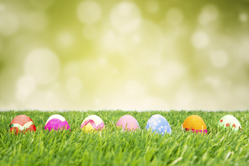 Colorful easter eggs hiding in the grass