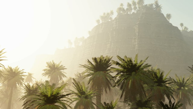 Wonderful sunrise above tropical palm jungle with sun rays and thick morning fog
