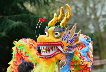 Holiday decorative chinese dragon