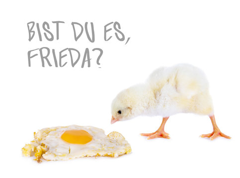 Kleines H&uuml;hnerk&uuml;ken mit Spiegelei fragt: "Bist Du es, Frieda?"