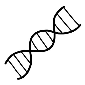 DNA / cartoon vector and illustration, black and white, hand drawn, sketch style, isolated on white background.