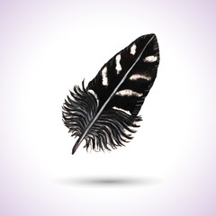 Black Striped Watercolor Feather