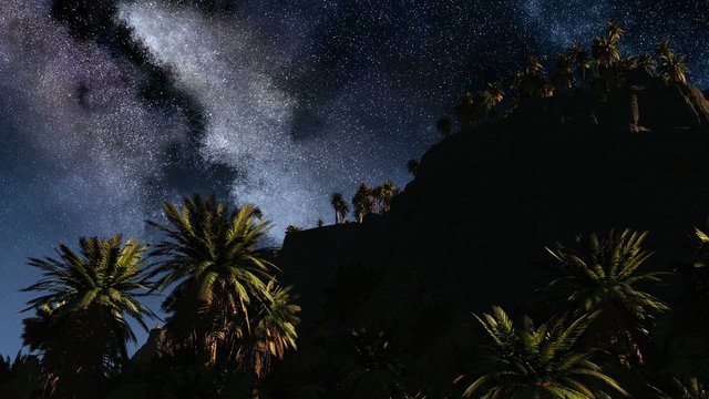 Colorful milky way and tropical landscape with palms. Timelapse