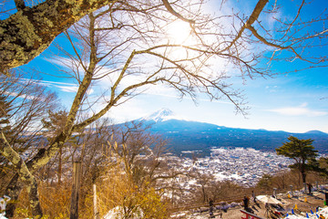 Forest and Fuji mountain background