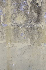 Wall moisture and destructions