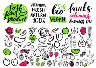 Vector handwritten food elements with rough edges.