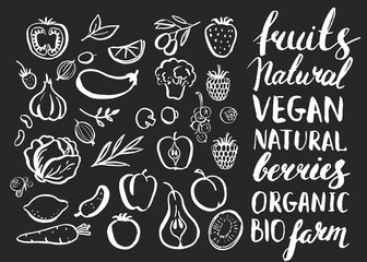 Set of vector handwritten elements with rough edges