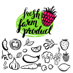 Vector handwritten food elements.