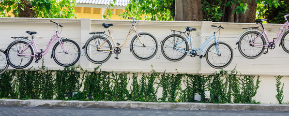 Fototapeta premium Bicycle hanging on the wall with ivy background.
