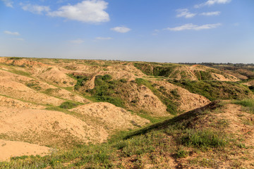 Naklejka premium dunes with grass against the sky